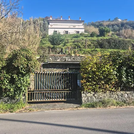 Executive Flat Da Natalino Apartment *